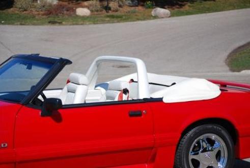 Re: removable rollbar for convertible? « Reply #3 on: November 27, 2013, 01:57:27 PM »