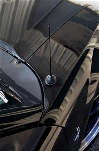 Mustang Shorty Antenna (79-09)